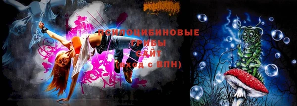 прущий лед Богородск